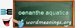 WordMeaning blackboard for oenanthe aquatica